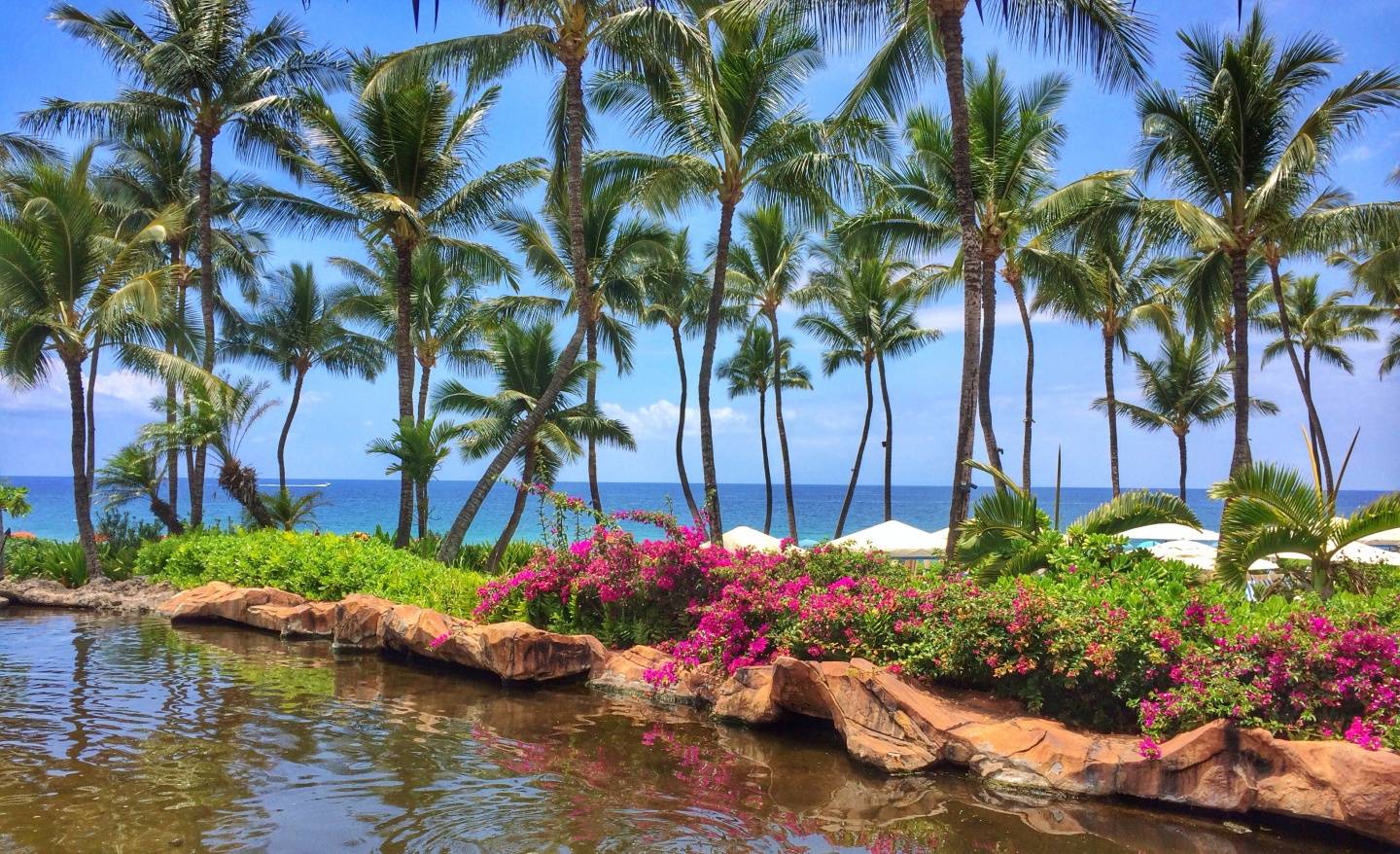 Relax and Get Pampered this Holiday Season at The Grand Wailea’s Spa Grande