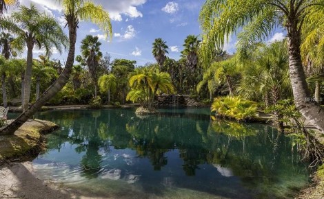 Lagoon on a property in Ruskin Florida off Tampa Bay