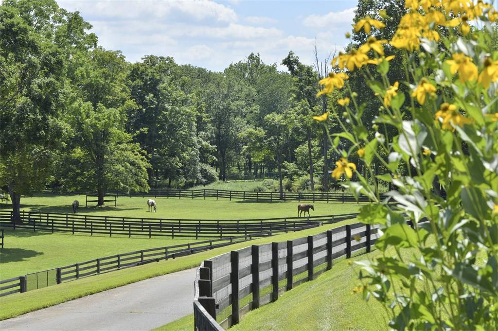 Legendary Equestrian Estates