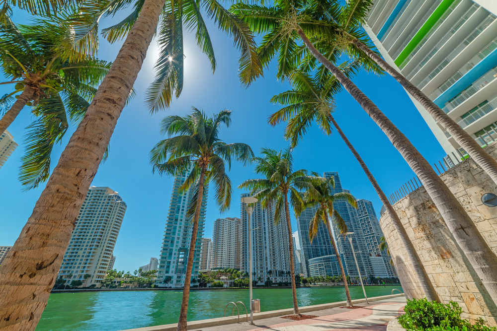 The Best of the Best Market Guide From Tadia Silva: Bal Harbour, FL